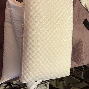 Sealy posturepedic pillow